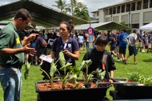 Kai Fox at Kamehameha Sustainability Fair